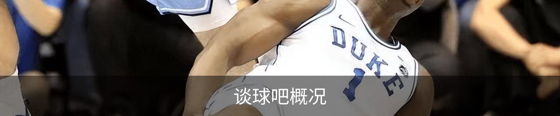 谈球吧概况